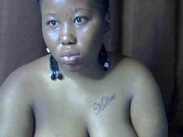 Casse-dellah webcam