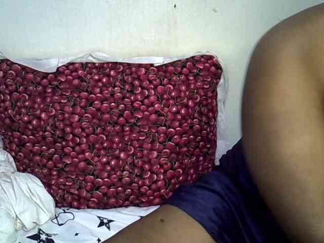 Casse-dellah webcam