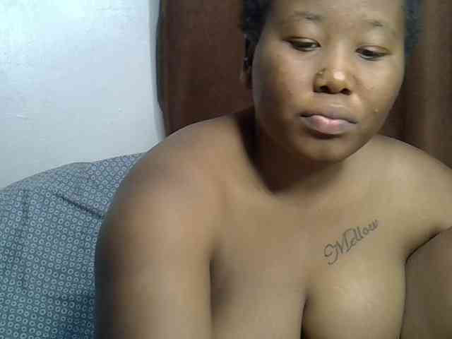 Casse-dellah webcam