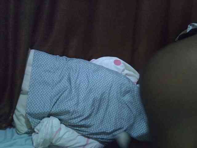 Casse-dellah webcam
