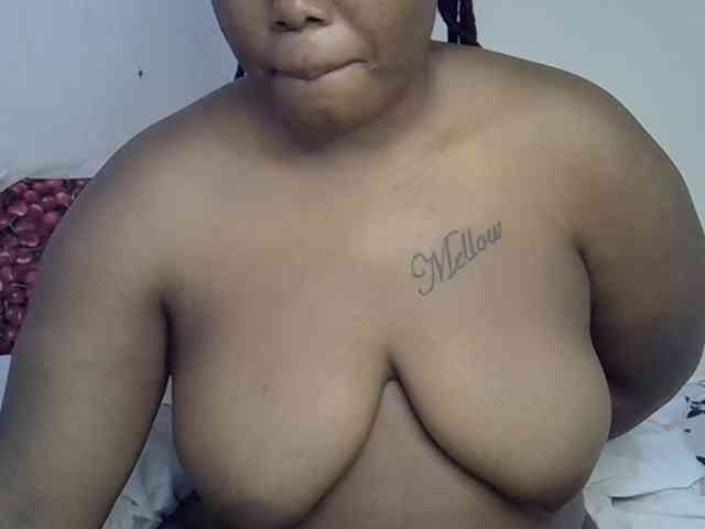 Casse-dellah webcam