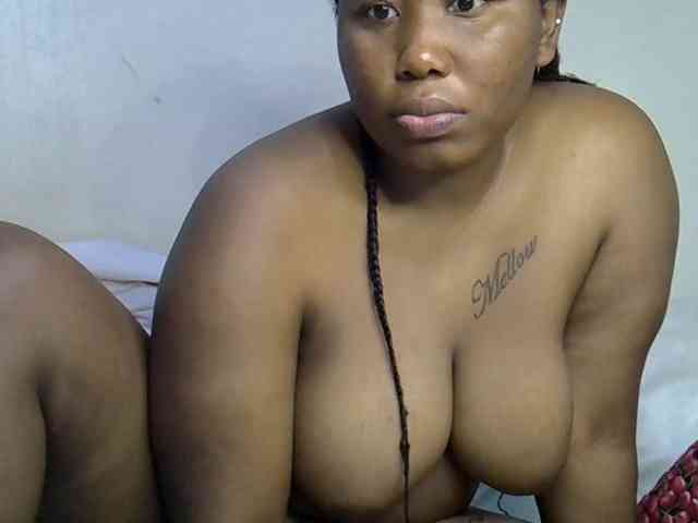 Casse-dellah webcam