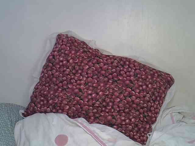 Casse-dellah webcam