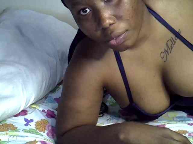 Casse-dellah webcam