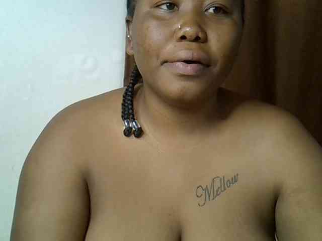Casse-dellah webcam