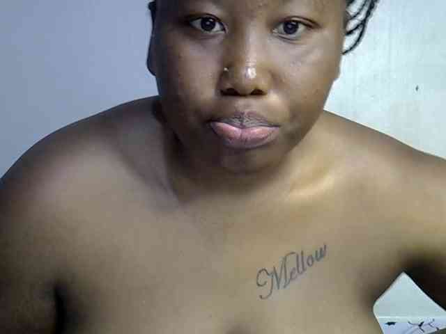 Casse-dellah webcam