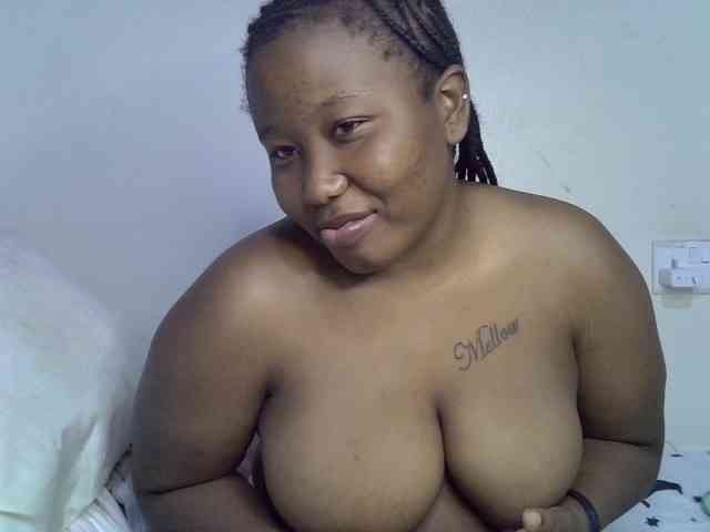 Casse-dellah webcam