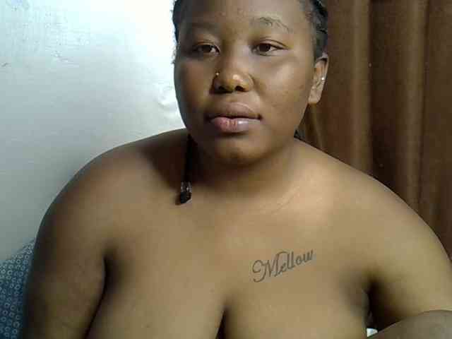 Casse-dellah webcam
