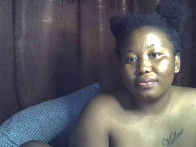 Casse-dellah webcam