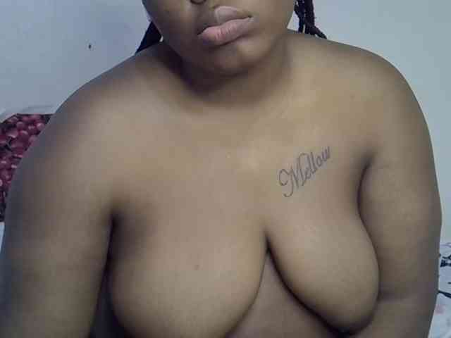 Casse-dellah webcam