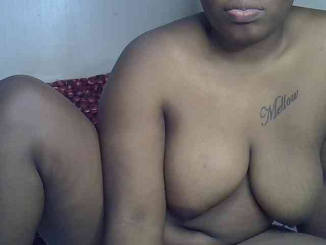 Casse-dellah webcam