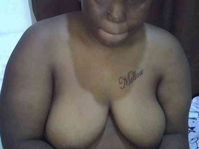 Casse-dellah webcam