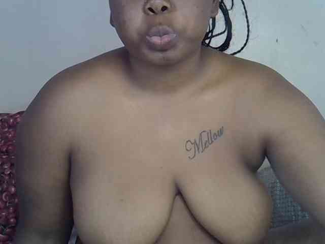 Casse-dellah webcam