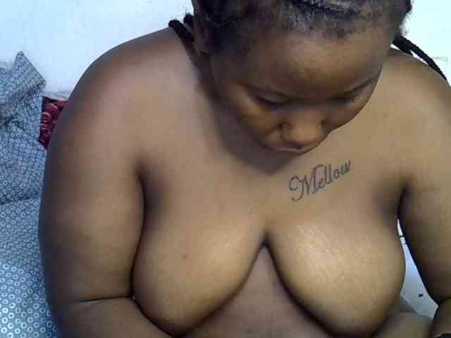 Casse-dellah webcam