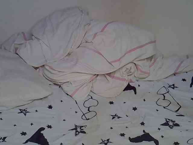Casse-dellah webcam