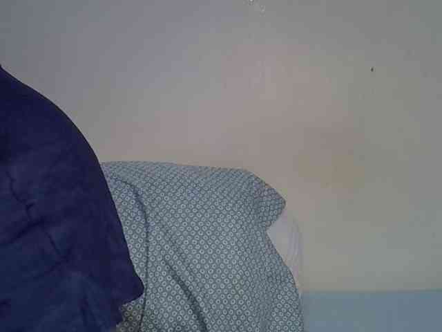 Casse-dellah webcam