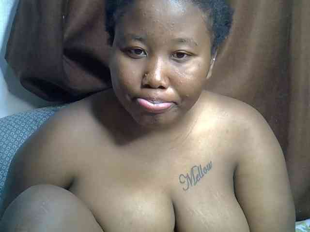 Casse-dellah webcam