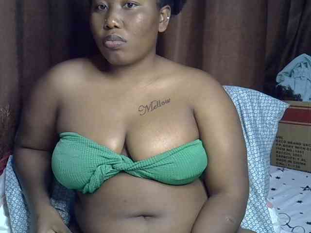 Casse-dellah webcam