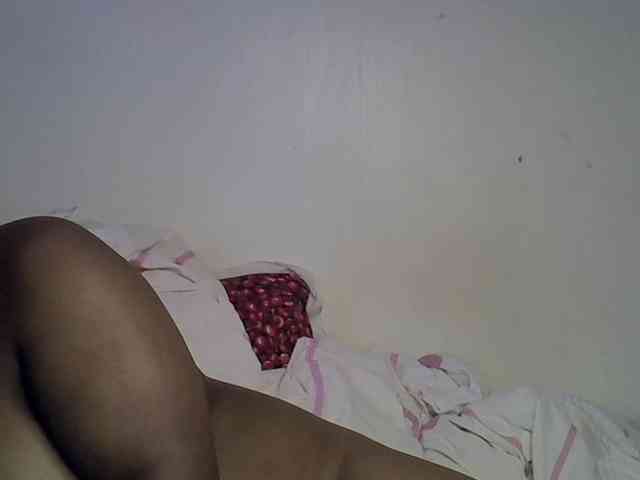 Casse-dellah webcam
