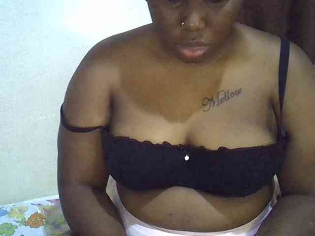 Casse-dellah webcam