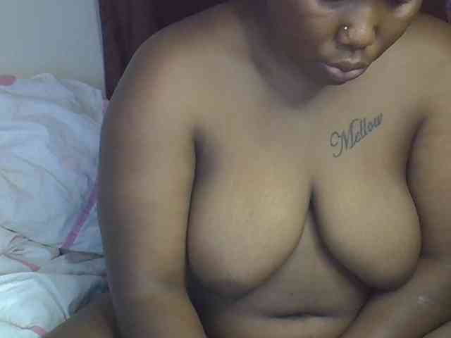Casse-dellah webcam