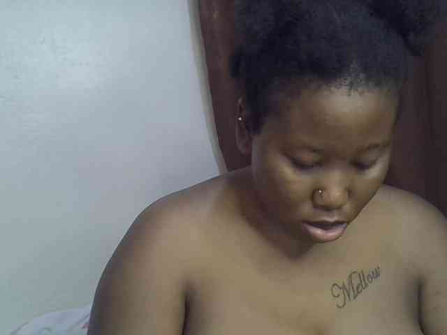 Model: Casse-dellah