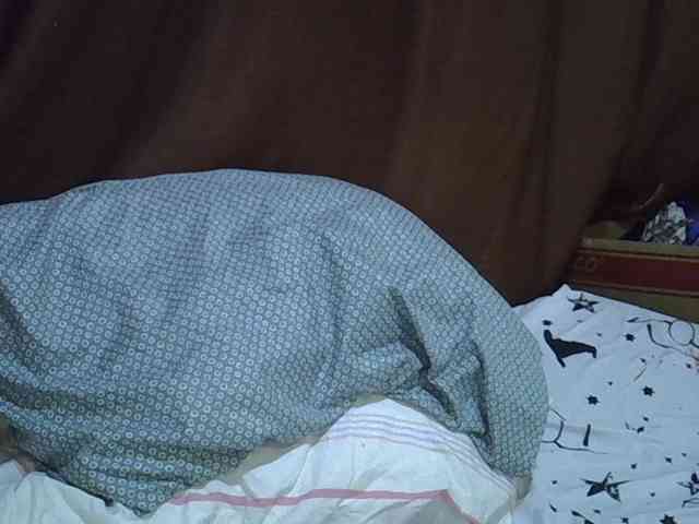 Casse-dellah webcam