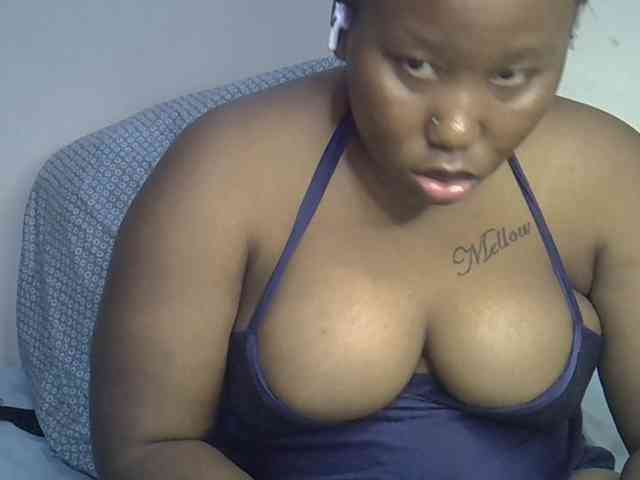 Casse-dellah webcam