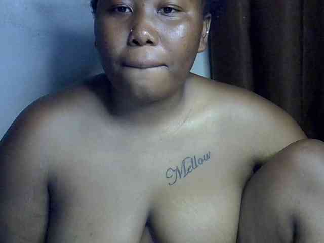 Casse-dellah webcam
