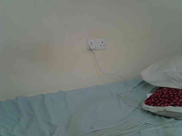 Casse-dellah webcam