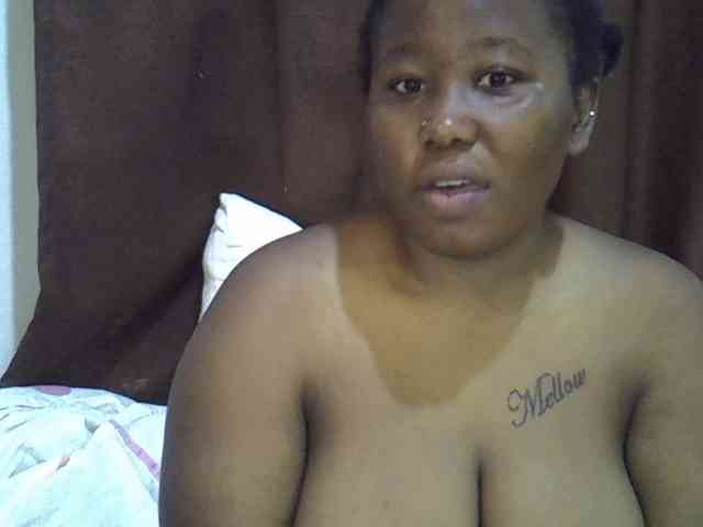 Casse-dellah webcam