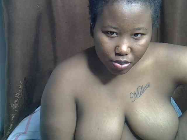 Casse-dellah webcam