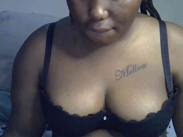 Casse-dellah webcam
