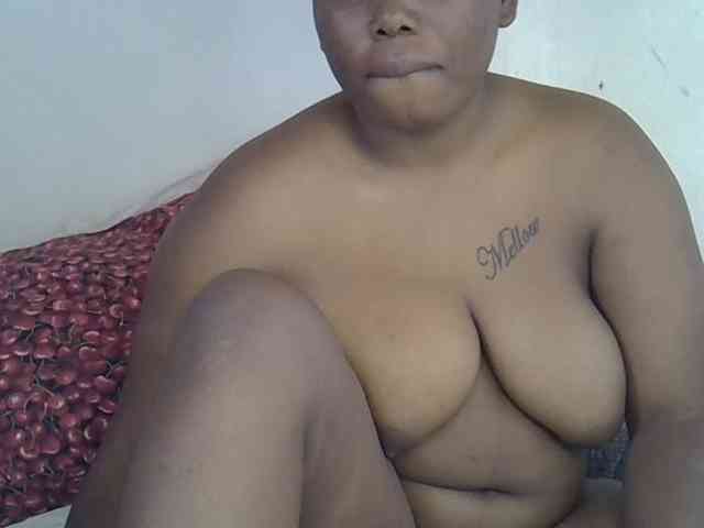 Casse-dellah webcam