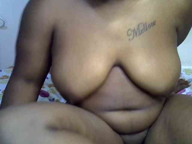 Casse-dellah webcam