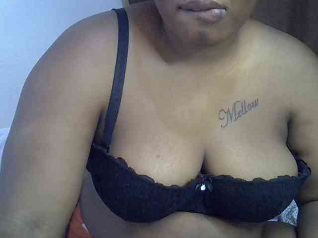 Casse-dellah webcam