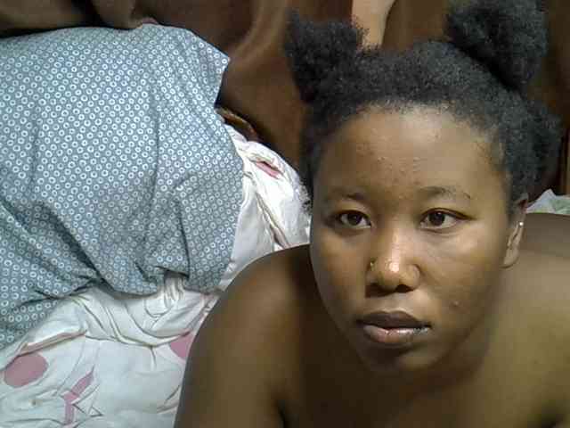 Casse-dellah webcam