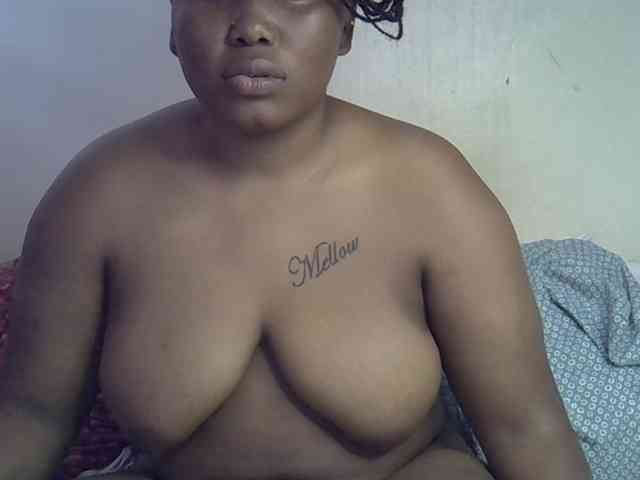 Casse-dellah webcam