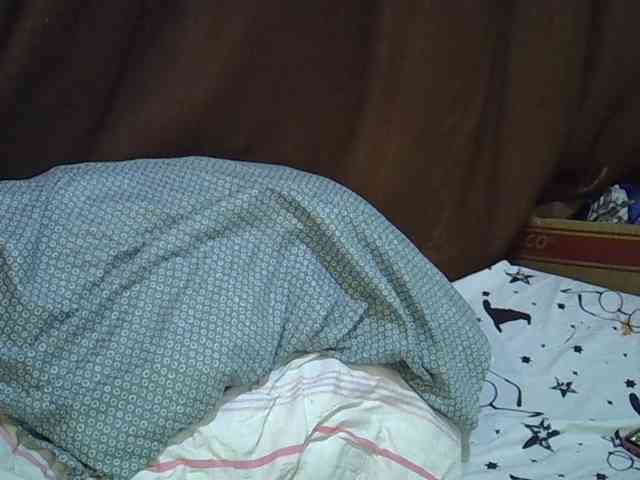Casse-dellah webcam