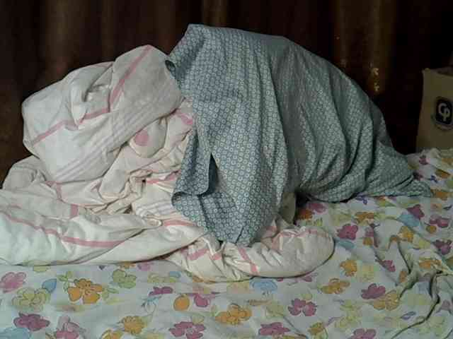 Casse-dellah webcam