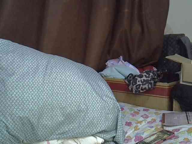 Casse-dellah webcam