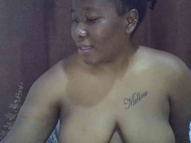 Casse-dellah webcam
