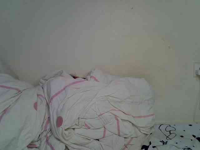 Casse-dellah webcam