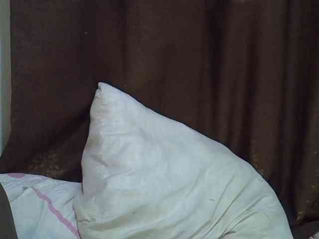 Casse-dellah webcam