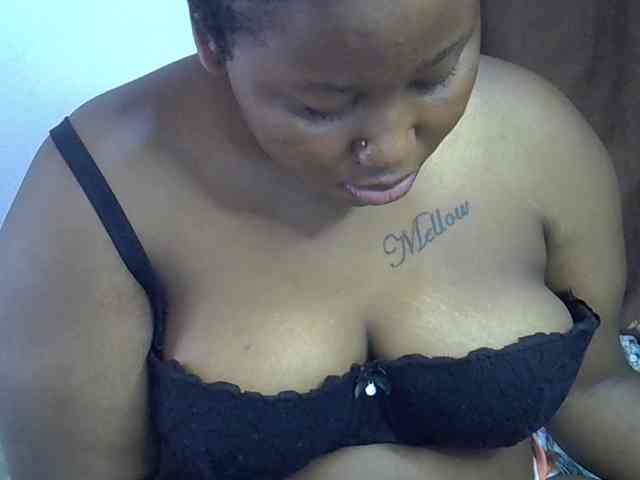 Casse-dellah webcam