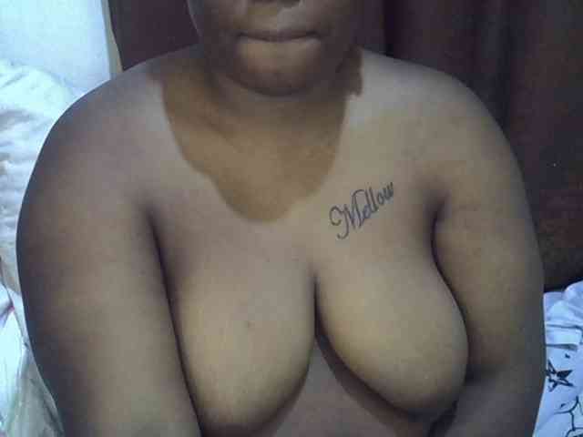 Casse-dellah webcam