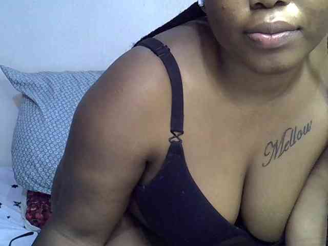 Casse-dellah webcam