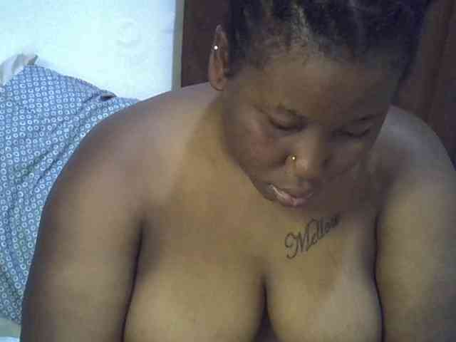 Casse-dellah webcam