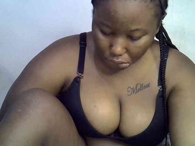 Casse-dellah webcam