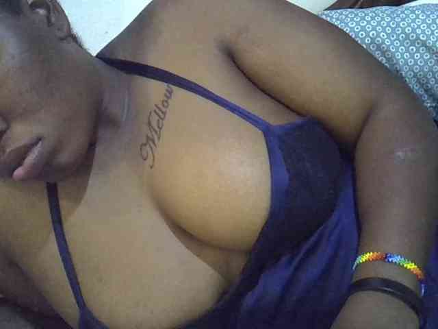 Casse-dellah webcam